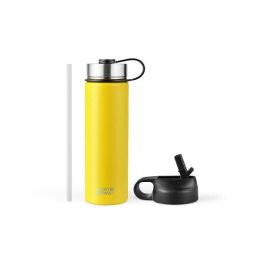 22 Oz Double-walled Insulated Stainless Steel Water Bottle with 2 Lids and Straw-Yellow - Color: Yellow